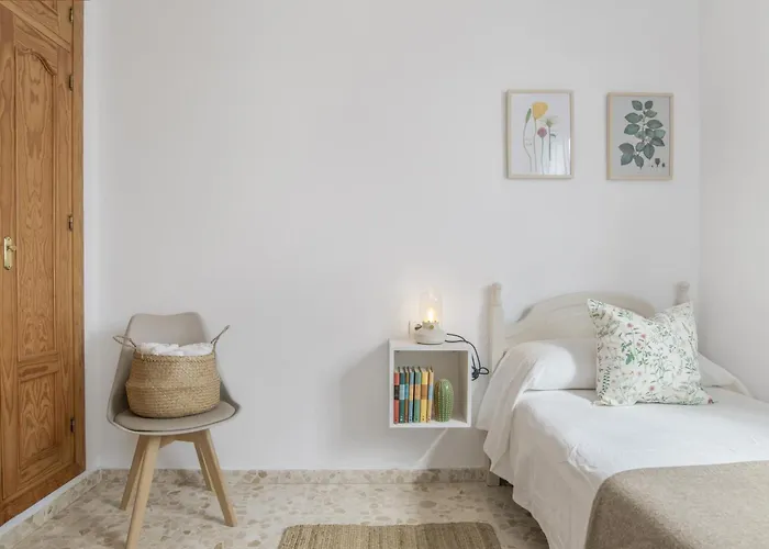 Piso Amplio Y Luminoso En Conil Apartman