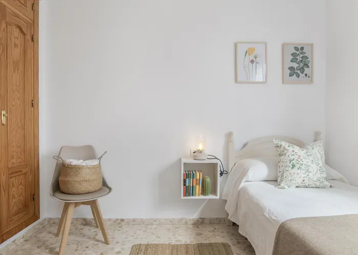 Piso Amplio Y Luminoso En Conil *